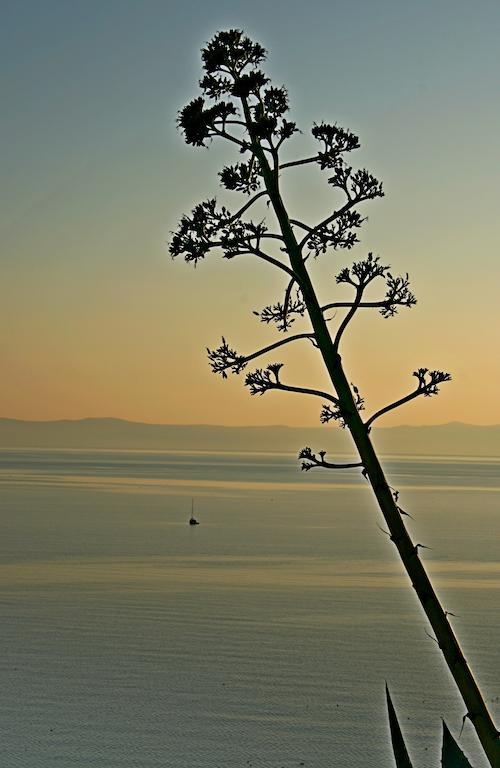 Idyllic Villa Marieta With Private Pool And Unforgettable View Makarska Buitenkant foto